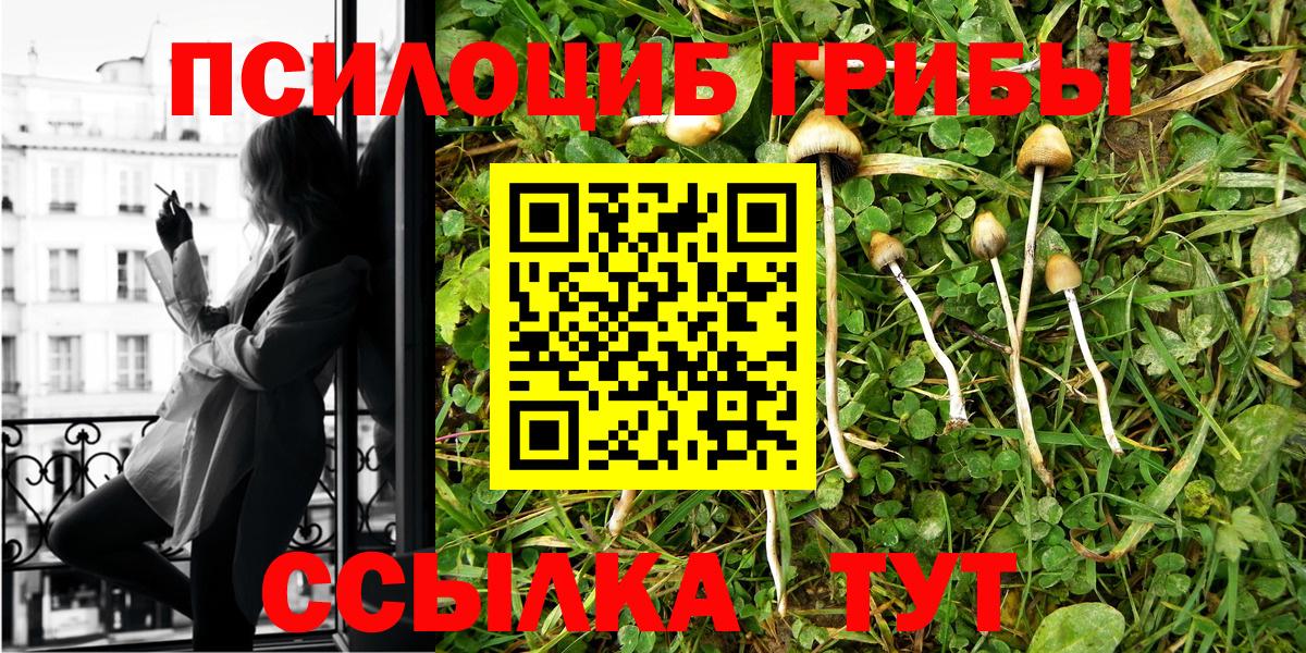 A PVP Дивногорск